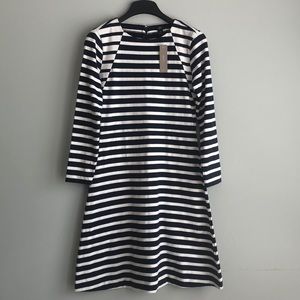 JCrew Navy and White Dress
